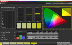 Nasycenie CalMAN (sRGB)