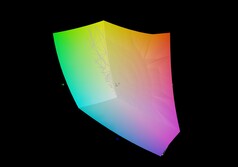 Lenovo LOQ 15 a sRGB