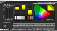 CalMAN ColorChecker (profil: DisplayP3, docelowa przestrzeń kolorów: P3)