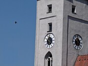 10-krotne powiększenie