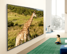 Zdjęcie promocyjne telewizora LG QNED84B.