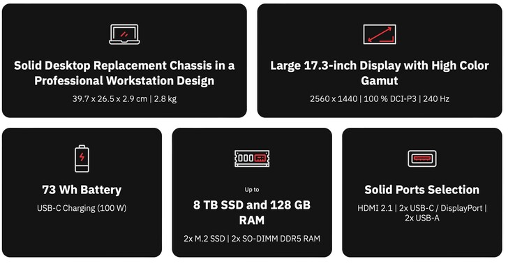 W ofercie znajduje się również dobrze wyposażony 17-calowy wyświetlacz 240 Hz.