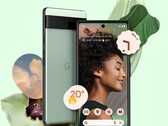 Google Pixel 6A oferuje niesamowity stosunek jakości do ceny, jeśli chodzi o aparat. (Źródło: Google)