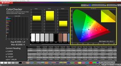 Kalibracja CalMAN ColorChecker (docelowa przestrzeń barw P3)