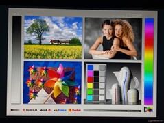 Szerokie kąty widzenia IPS