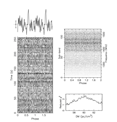 Być może pulsar? (źródło: Pulsar Seekers)