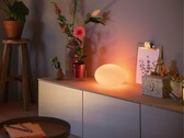 Lampa stołowa Philips Hue Flourish