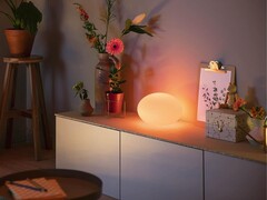 Lampa stołowa Philips Hue Flourish