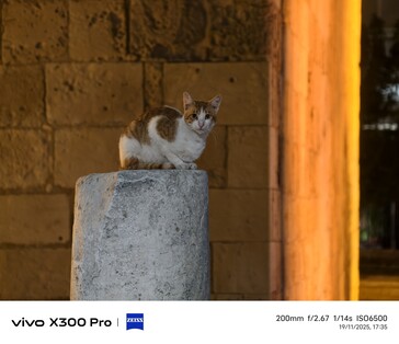 Vivo X300 Pro 200 mm z telekonwerterem.