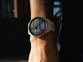 Może minąć trochę czasu, zanim Garmin wyda stabilną wersję 19.xx. (Źródło obrazu: Garmin)