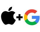 Apple nawiązała współpracę z Google w celu dalszego rozwoju Siri w oparciu o Gemini. (Źródło zdjęcia: Freepik / Flaticon, Mila Yunita / Vecteezy) 