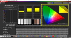 CalMAN ColorChecker skalibrowany (docelowa przestrzeń barw P3)