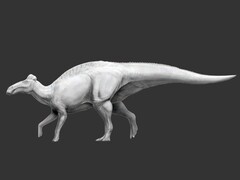 Edmontosaurus annectens jest pierwszym dinozaurem, o którym wiadomo, że miał stopy przypominające kopyta (źródło zdjęcia: Science.org)
