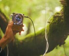 Pocket Scion tworzy muzykę w oparciu o aktywność elektryczną roślin. (Źródło obrazu: Instruō)