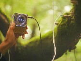Pocket Scion tworzy muzykę w oparciu o aktywność elektryczną roślin. (Źródło obrazu: Instruō)