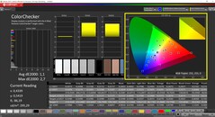 CalMAN ColorChecker (docelowa przestrzeń barw DCI-P3)