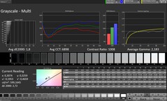 Skala szarości CalMAN