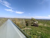 OnePlus 13 - 0,5-krotny zoom (ultraszerokokątny)