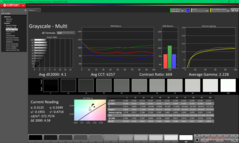 Skala szarości przed kalibracją (sRGB)