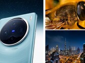 Vivo X100 Pro robi wrażenie na wielu przykładowych zdjęciach. (Zdjęcie: Vivo, edytowane)