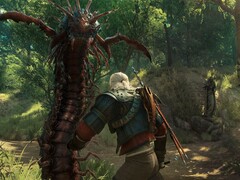 Obraz z gry The Witcher 3: Wild Hunt - Krew i Wino. (Źródło obrazu: Steam)