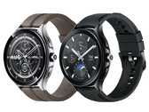 Xiaomi Watch 2 Pro może być dostępny tylko w jednym rozmiarze z 1,43-calowym wyświetlaczem. (Źródło obrazu: @MysteryLupin - edytowane)