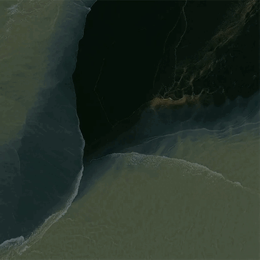 Wczesny wyciek tapety Pixel 11 Pro Fold pokazujący jego wygląd Pine, Tidal Swirl