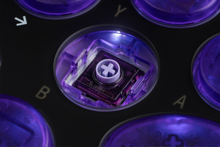 (Źródło obrazu: 8BitDo)