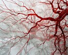 Nowa technologia oparta na PAT może być wykorzystywana do rejestrowania szybkich, pozbawionych rozmyć obrazów naczyń krwionośnych w celu szybkiej diagnozy. (Źródło obrazu: Neuroscience News)