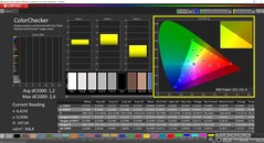 CalMAN ColorChecker (profil: sRGB, docelowa przestrzeń kolorów: sRGB)