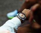 Sklep Garmin Connect IQ opóźnia obecnie aktualizacje aplikacji o kilka dni.
