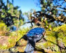 W teście: Samsung Galaxy Watch Ultra2