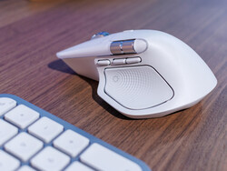 (Źródło zdjęcia: Daniel Schmidt)