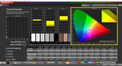 CalMAN ColorChecker skalibrowany (docelowa przestrzeń kolorów P3)