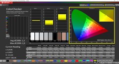 CalMAN ColorChecker (profil: sRGB, docelowa przestrzeń kolorów: sRGB)