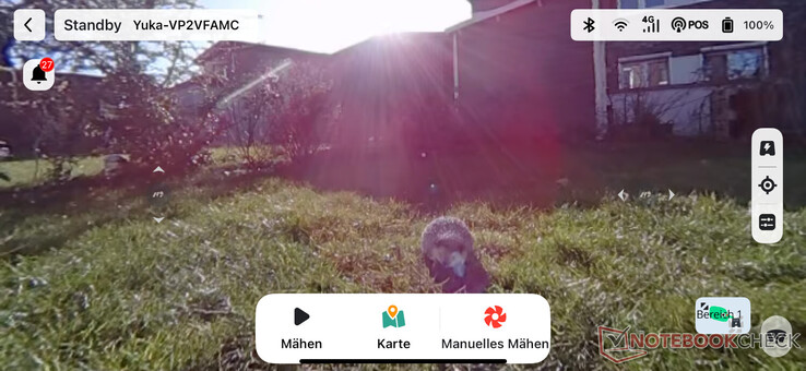 Wideo na żywo w aplikacji Mammotion