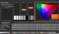 CalMAN: ColorChecker (skalibrowany)