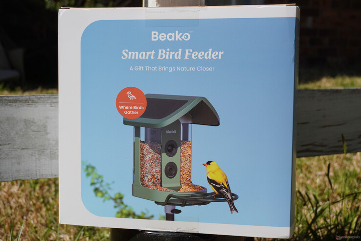 Sugerowane jest wręczanie prezentów 