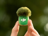 DJI będzie oferować dwie wersje Mic Mini w 2026 roku, Mic Mini 2 na zdjęciu.