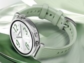 Huawei wydaje się być nastawiony na odświeżenie Watch GT 4 po raz drugi. (Źródło zdjęcia: @MysteryLupin)