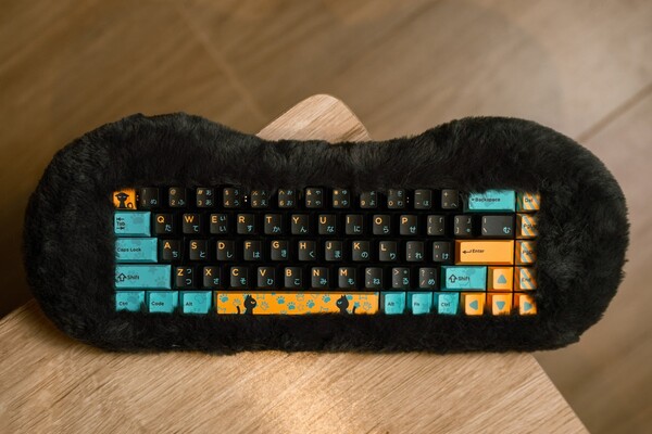 Petbrick 65 może być używany w trybie przewodowym lub bezprzewodowym (Bluetooth i 2,4 GHz). (Źródło obrazu: Dry Studio)