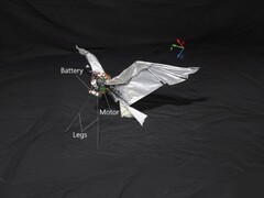Obraz RoboFalcon2.0 (źródło obrazu: naukowcy; edytowane)