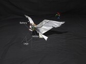Obraz RoboFalcon2.0 (źródło obrazu: naukowcy; edytowane)
