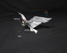Obraz RoboFalcon2.0 (źródło obrazu: naukowcy; edytowane)