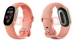 Google Fitbit Edge