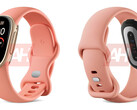 Google Fitbit Edge