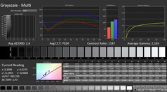 CalMAN: Skala szarości
