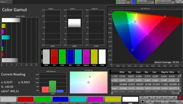 Przestrzeń kolorów CalMAN sRGB - wyświetlacz pokrywy, naturalny