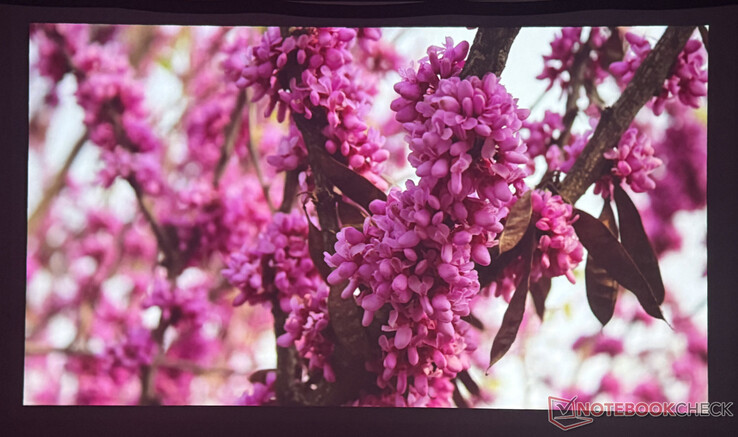 Jakość obrazu Mgławicy P1 w zaciemnionym pomieszczeniu (źródło obrazu: Pexels)