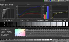 Skala szarości CalMAN